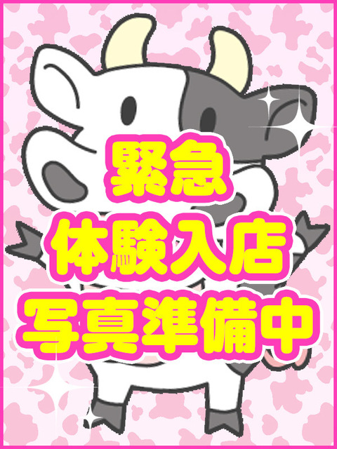 はかた牛ちゃんの写真