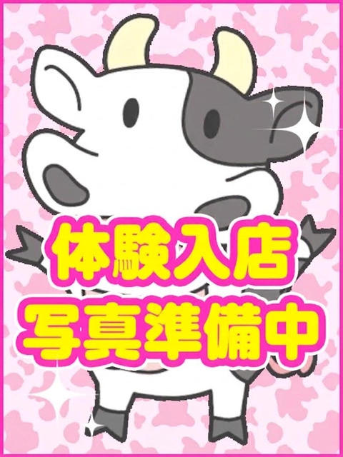 わかさ牛ちゃんの写真